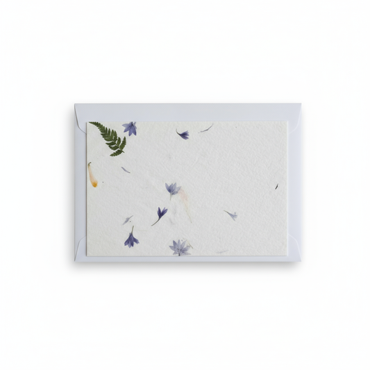 Postcard in standardized square frame